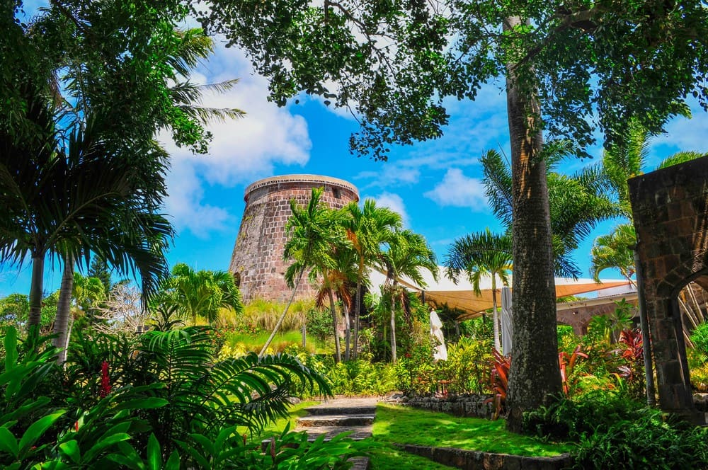 A historic stone sugar-mill tower among palms in a tropical garden on Nevis